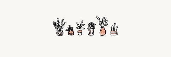 sarah__noer's profile banner image
