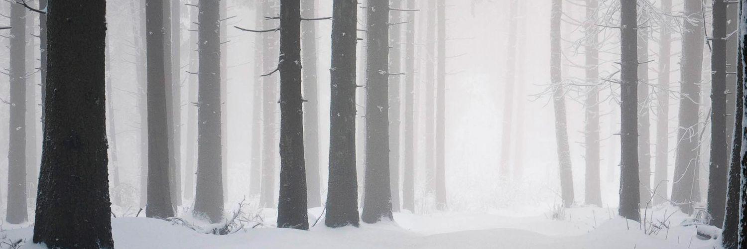 Arevalo9's profile banner image