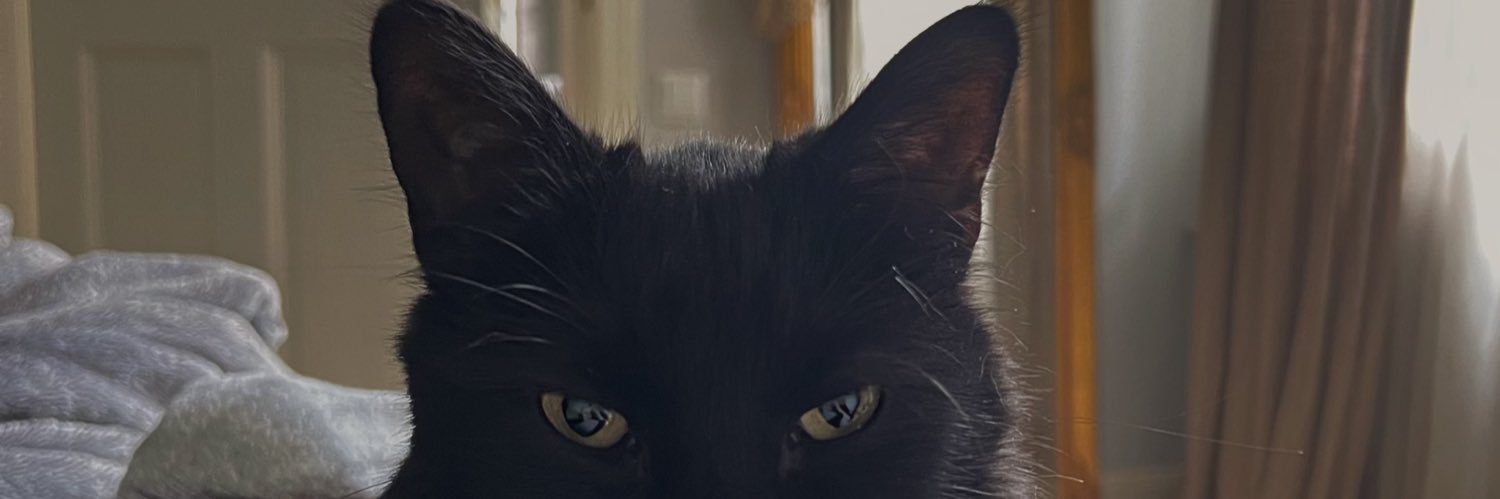 nudebembi's profile banner image