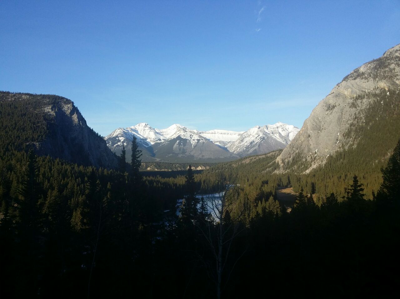 Crystal Chin - 秦皓恩 💉X8 banner