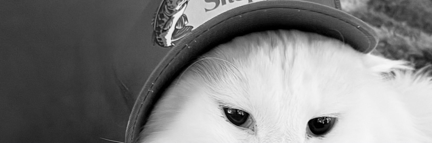 Che35eBurgerz's profile banner image