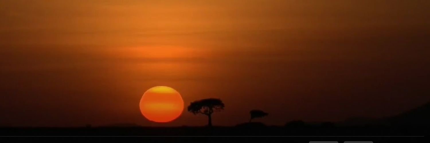 StephFromNH 🙏🏻 banner