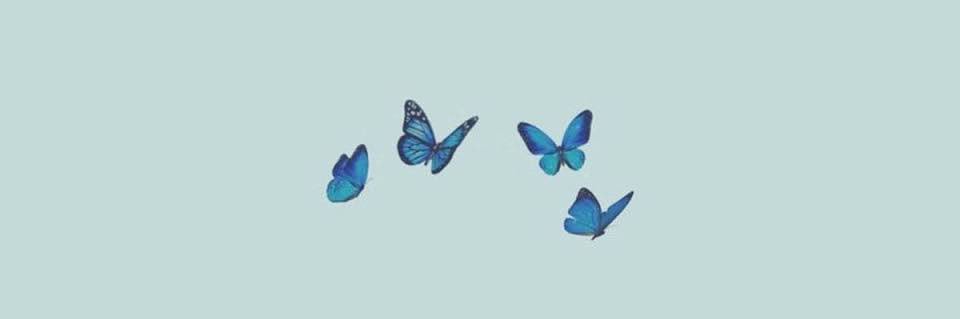 andreluciasilva's profile banner image