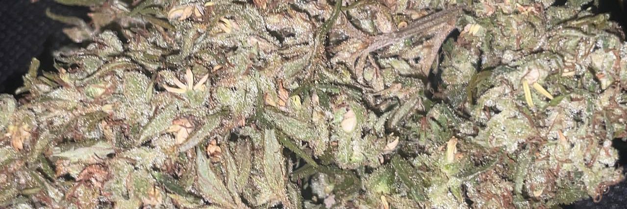 ceo420710's profile banner image