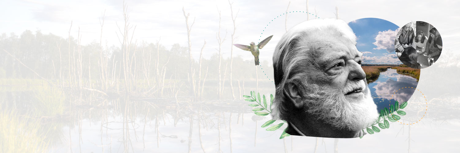 Fundación Manfred Max-Neef banner