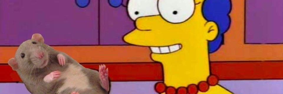 eggusboius's profile banner image