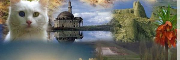 m_ecer65's profile banner image