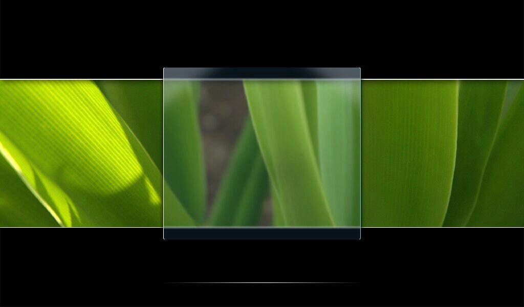 ThWetzel's profile banner image