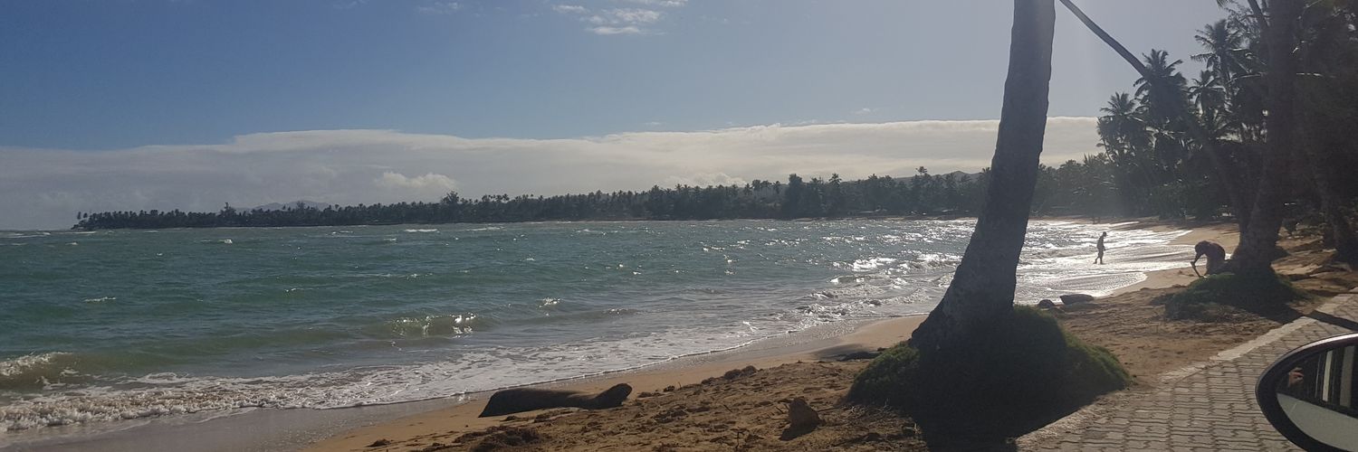 RDItsMe1's profile banner image