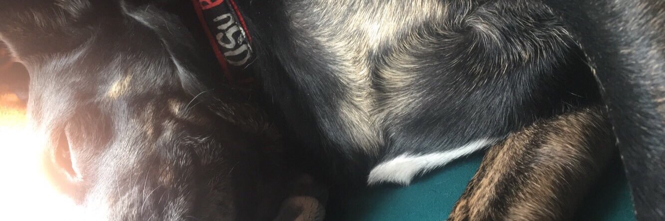 hilaryp2's profile banner image
