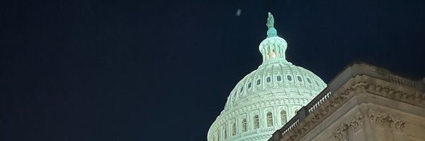 dani__battaglia Profile Banner