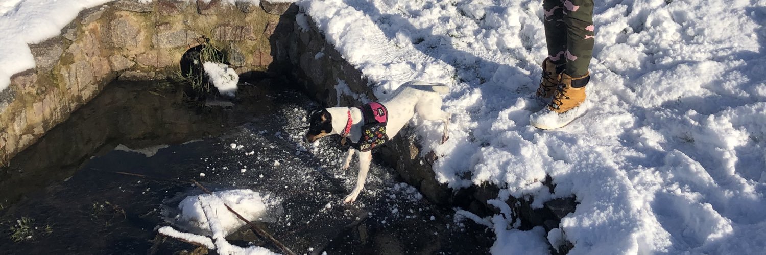 MFL 🇪🇸🇬🇧🇫🇷 banner