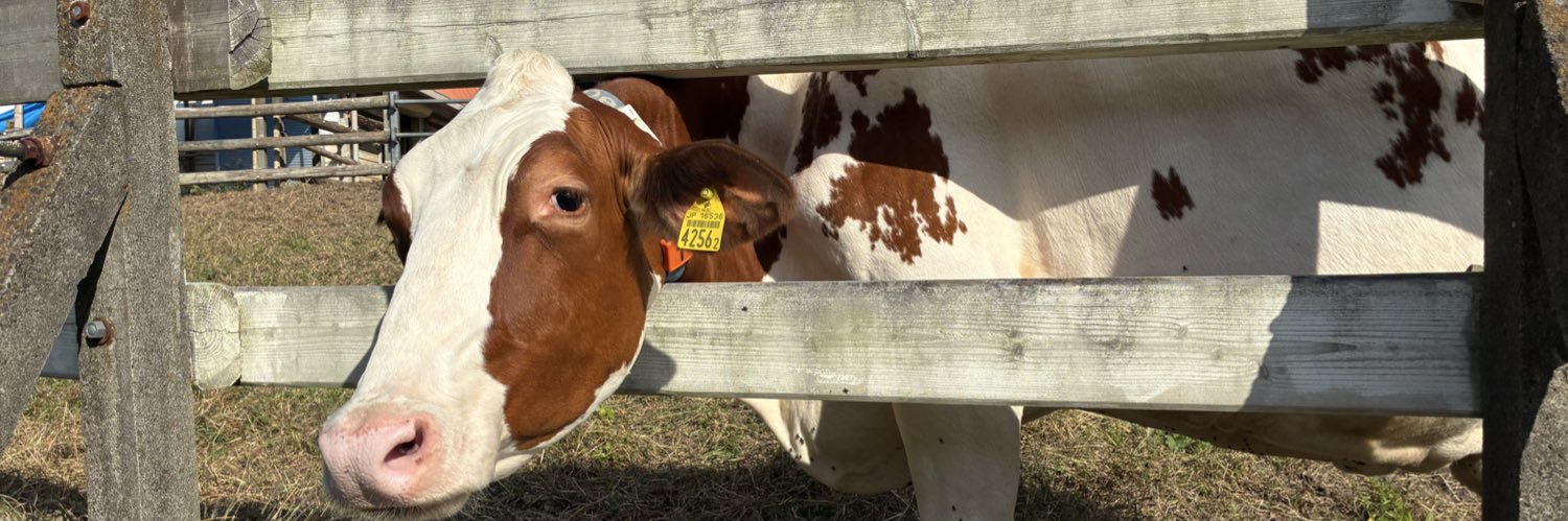 YouMe_Frieda's profile banner image