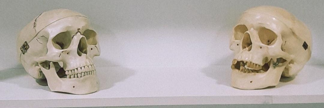 fernandorbraz's profile banner image