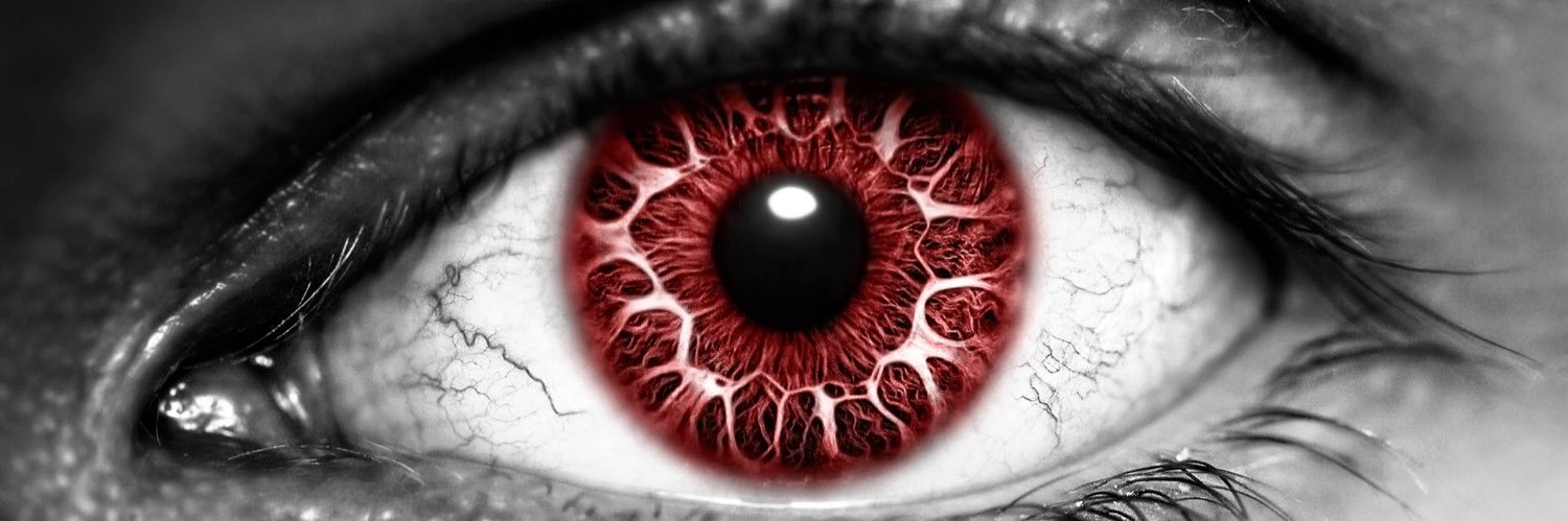 Russ Burton’s - Digital Objection’s banner