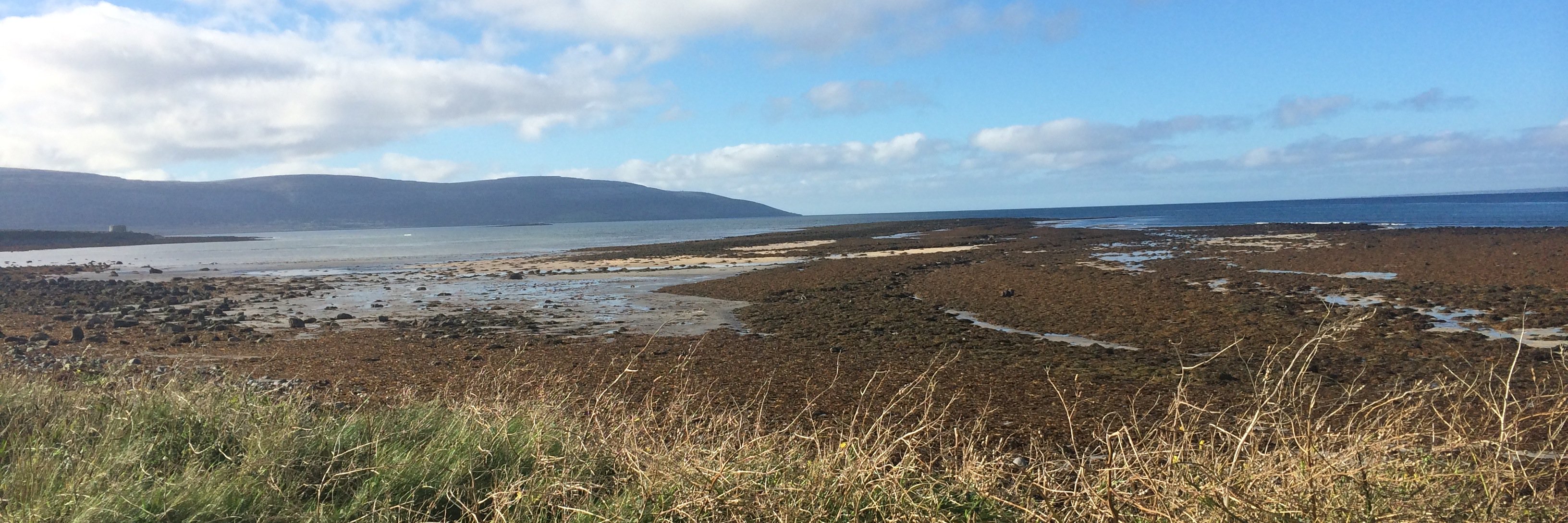 gusglynn1's profile banner image