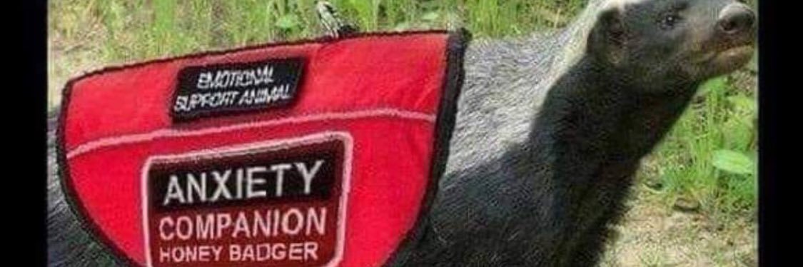 Head badger banner