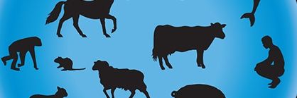 nohardproblem's profile banner image