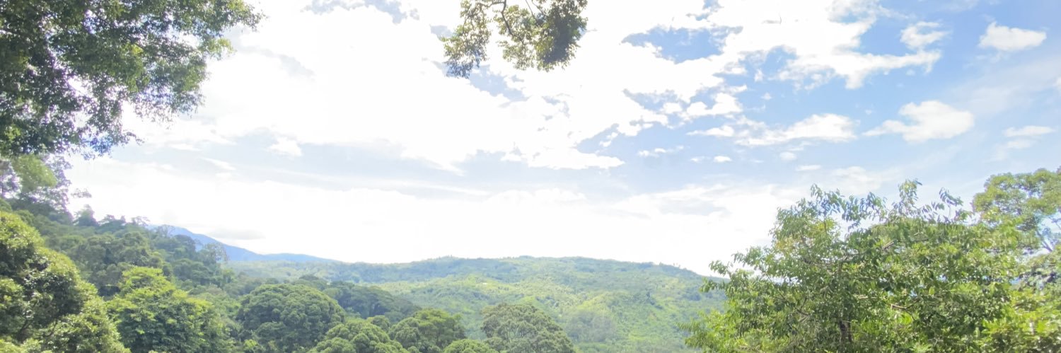 Ezaiddy's profile banner image