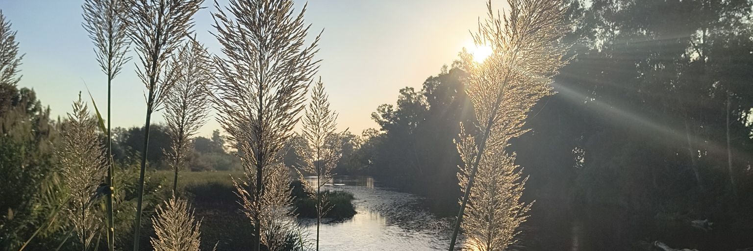 Sergio Martín banner