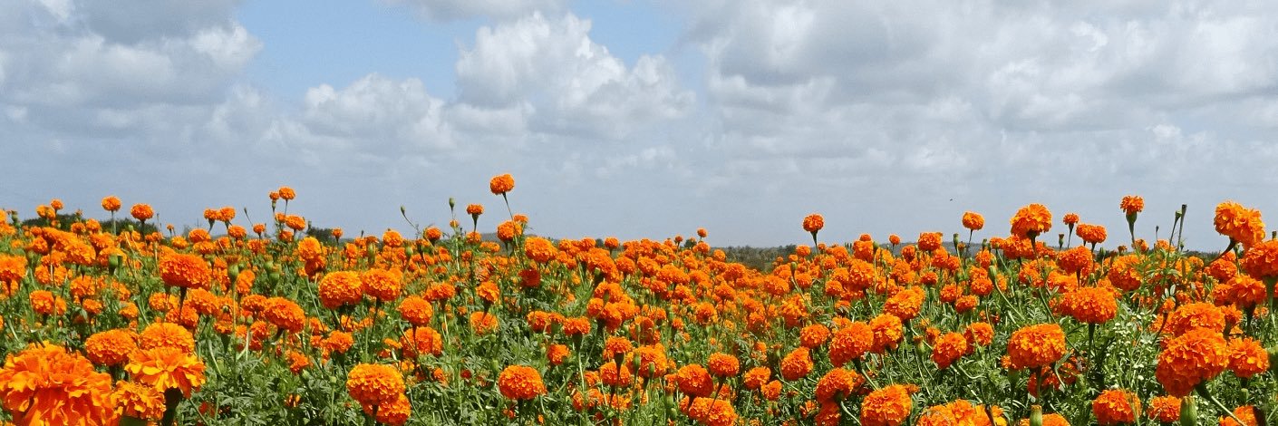 Ur Boyfriend's Man banner