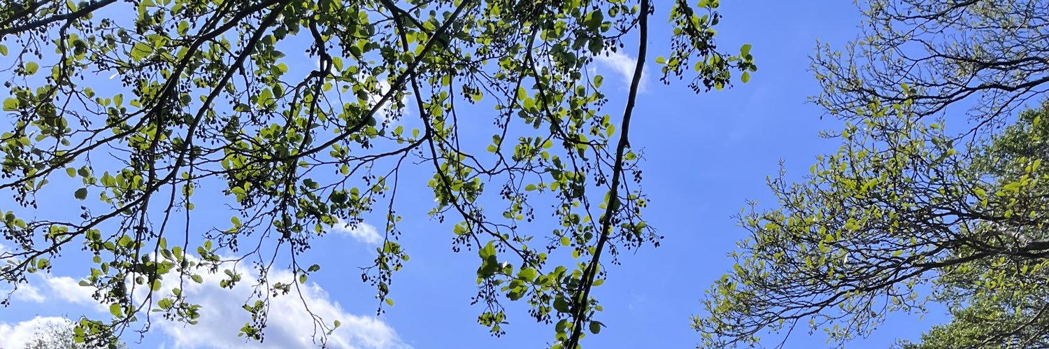 leahjade27's profile banner image