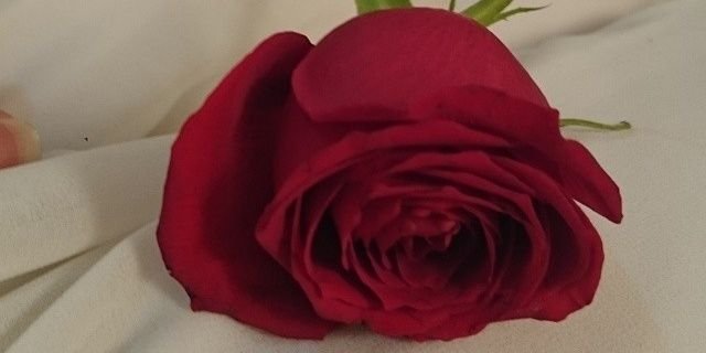 sham2154's profile banner image
