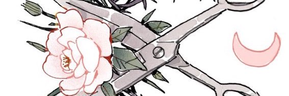 bodaciamorose's profile banner image