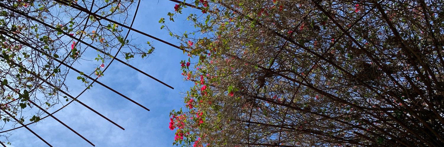 Karen Kavanagh banner