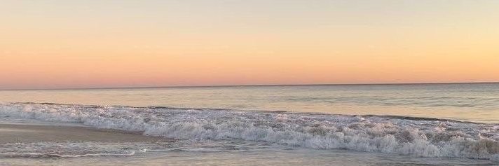 MishelleMA's profile banner image