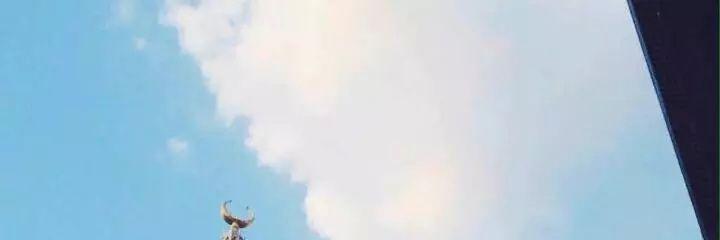Aloosh11818's profile banner image