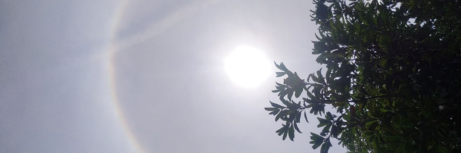 rot00plax's profile banner image