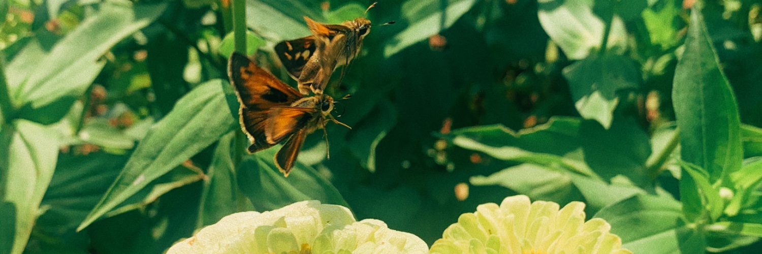 MAIMCKDAN's profile banner image