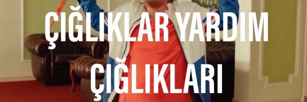 nikolaiteslaa's profile banner image