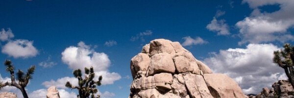 ljstofko Profile Banner