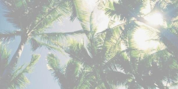 tribvte's profile banner image