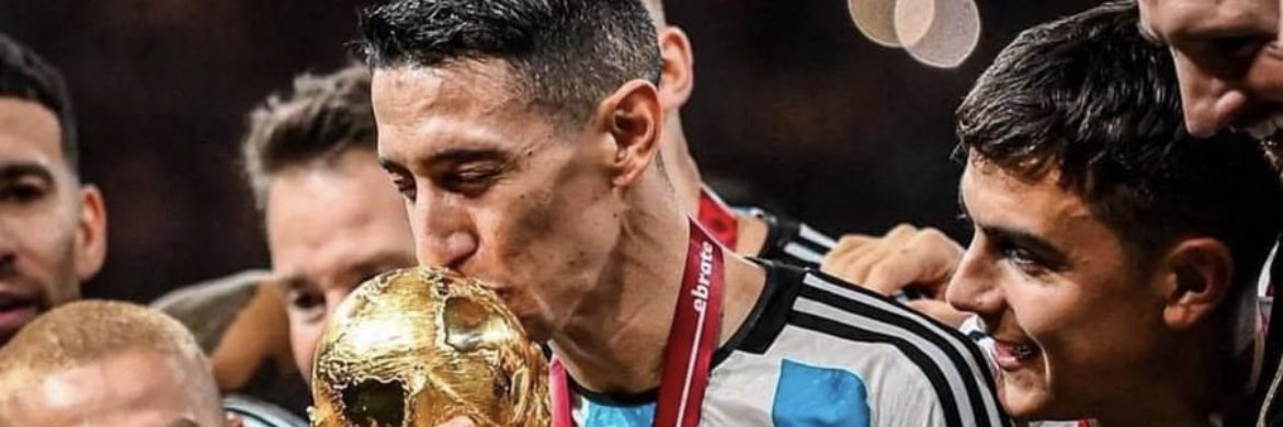 tomassalari's profile banner image