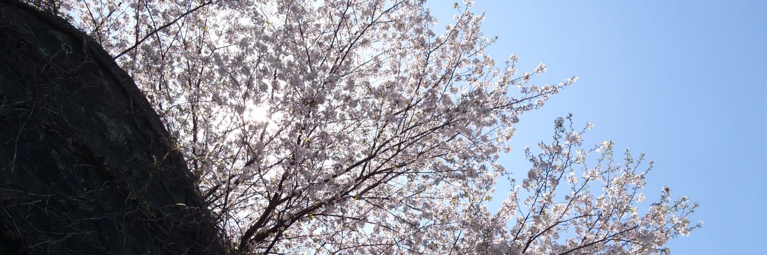 kum0006's profile banner image