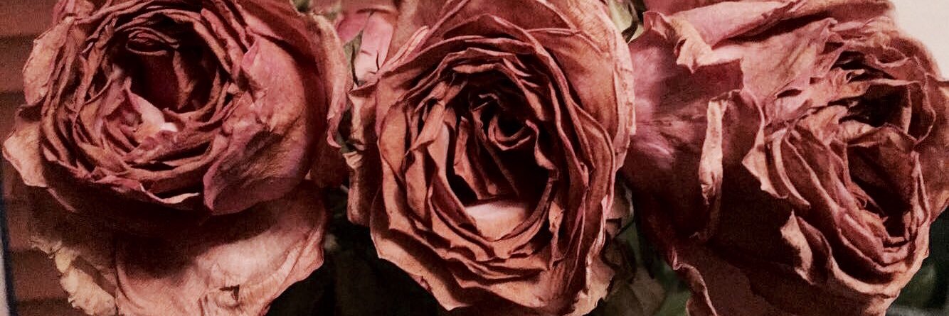 trying2endure's profile banner image