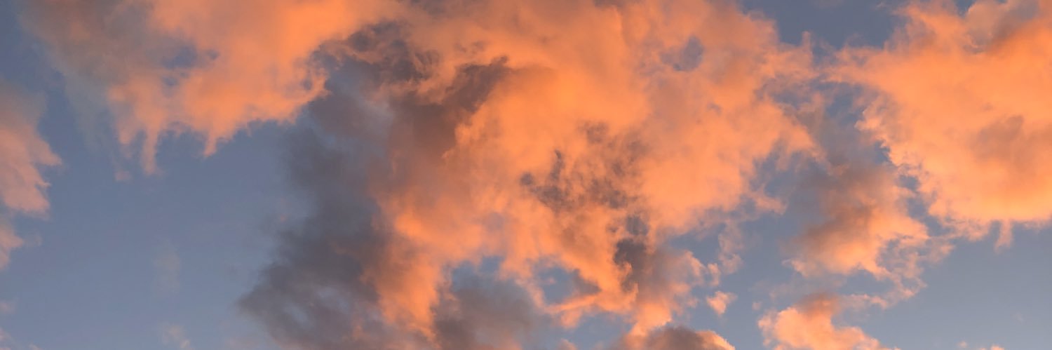 rileybrowning__'s profile banner image