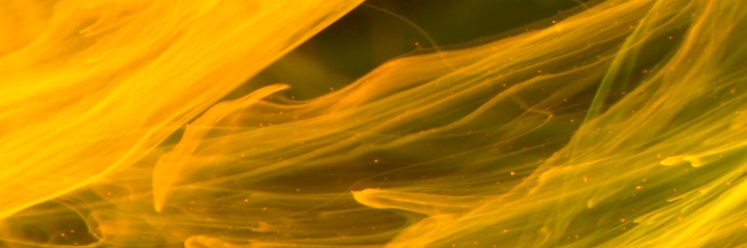 Leny💫 banner