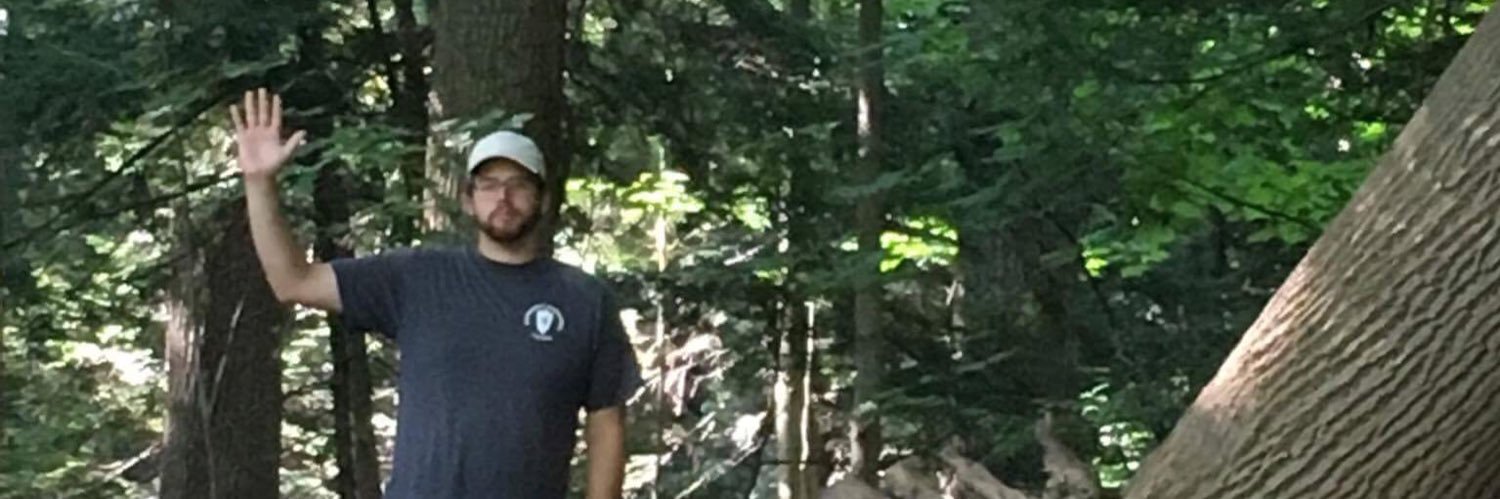 RemFromOnline's profile banner image