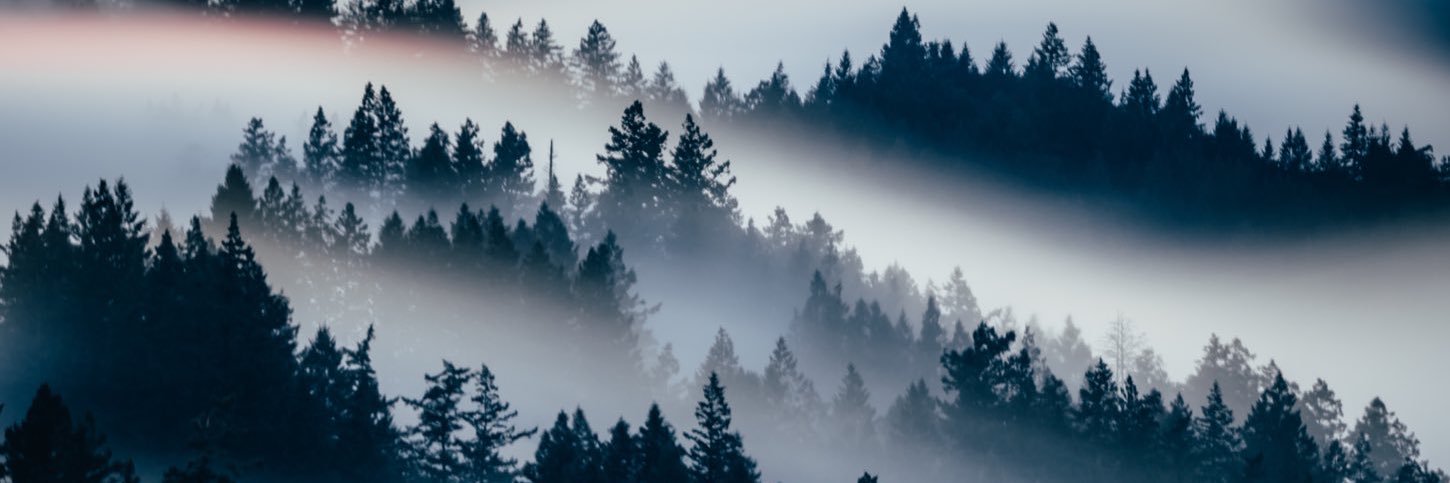 morgan_enos's profile banner image