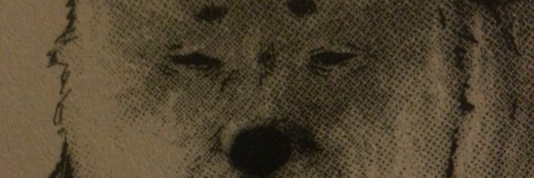 ashigakatteni's profile banner image