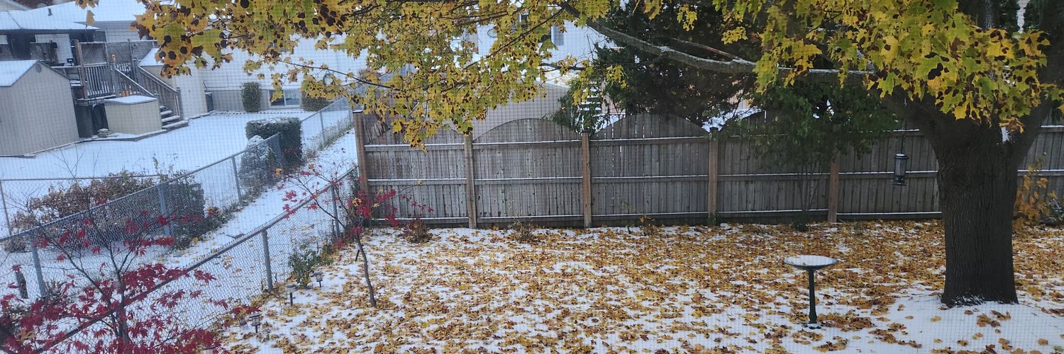 Megann Willson🪣 banner