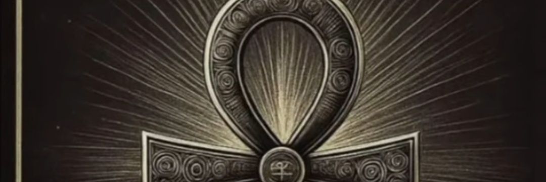 memscarter's profile banner image