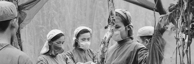 Triangle noir 🦜 banner