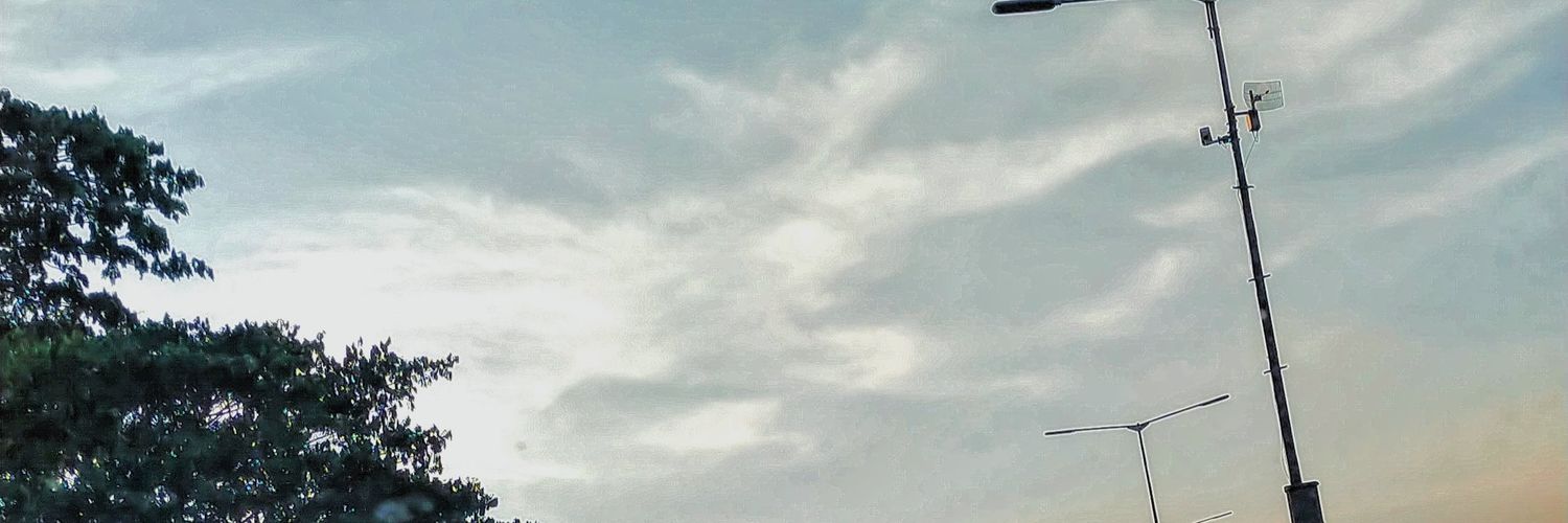 _riclee11's profile banner image