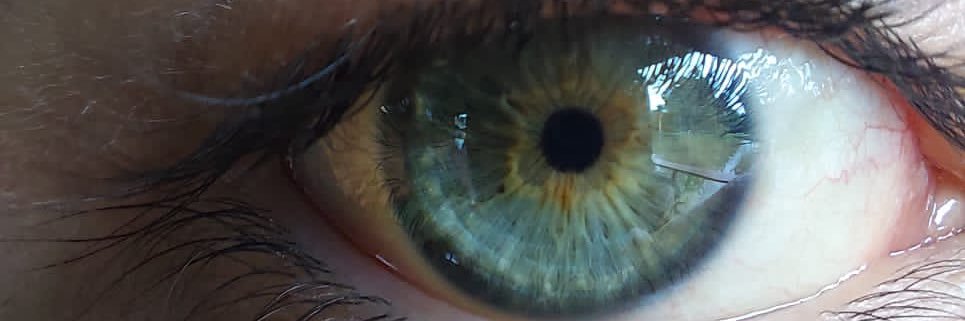 wtfariii's profile banner image