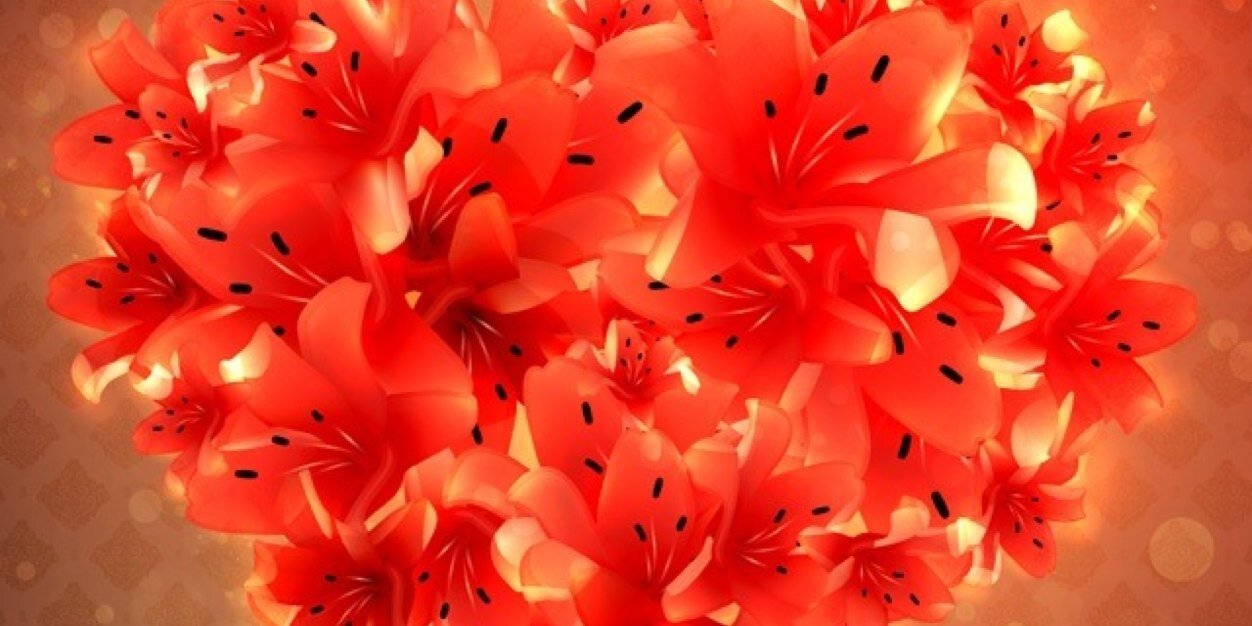 alohaSherle's profile banner image